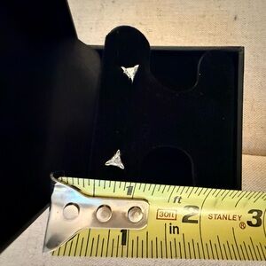 24 karat white gold, 1/3 karat diamond Triangle Stud Earrings